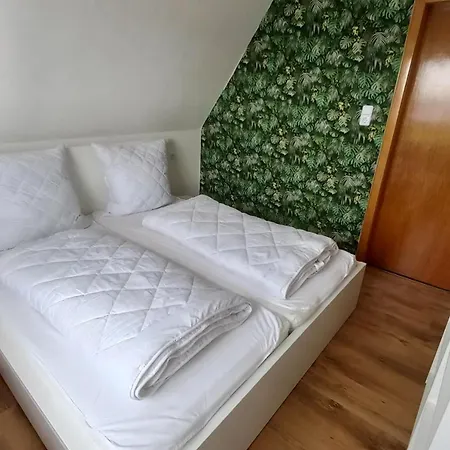 Apartment Dschungel
