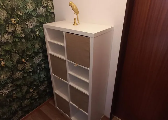 Dschungel * אמדן